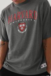 Harvard University Lisanslı Erkek Oversize T-Shirt, Oversize T-Shirt - Thumbnail